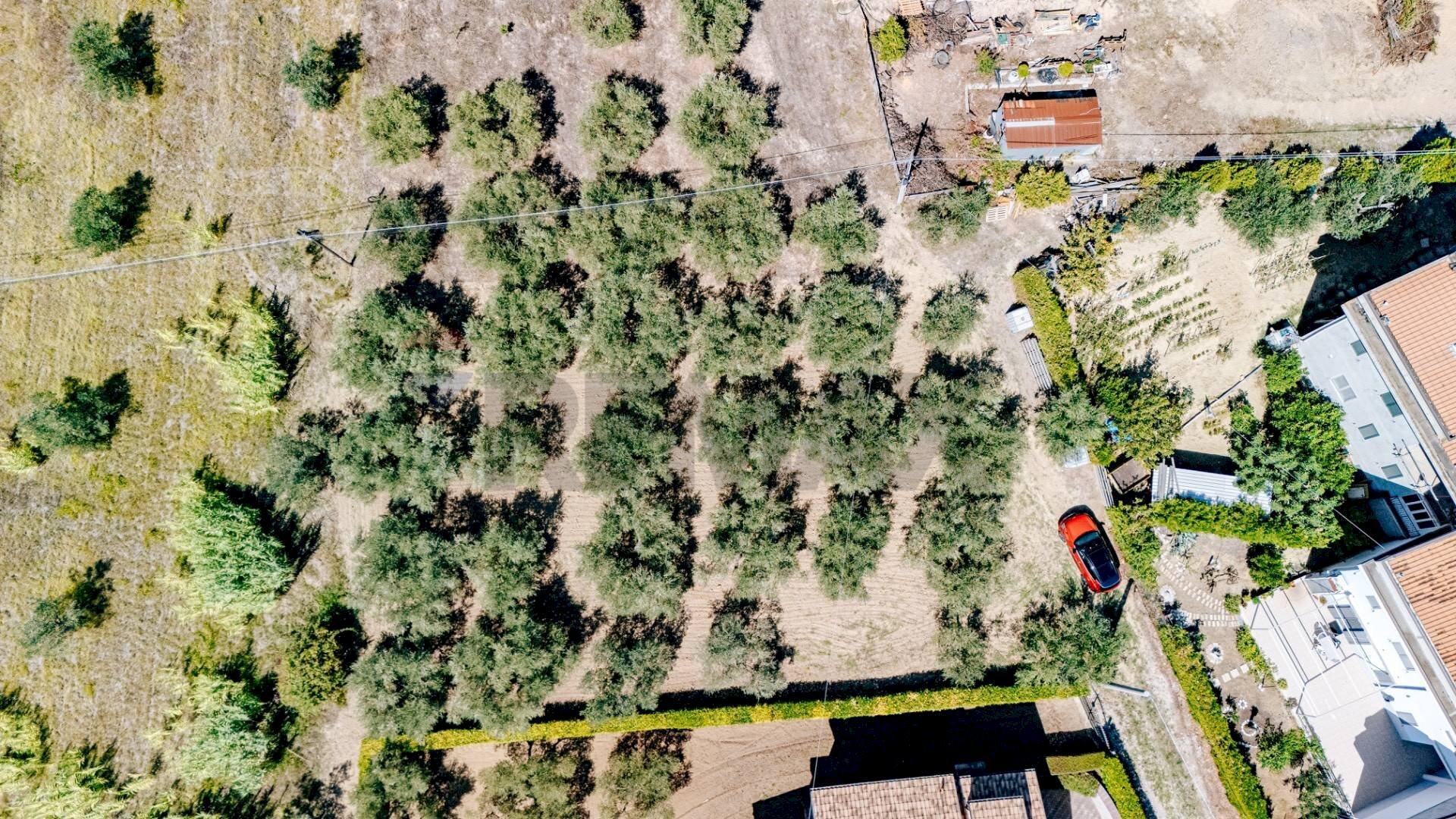 Posizione della mappa - Terreno edificabile via Istonia
 
189, Cupello - foto 2