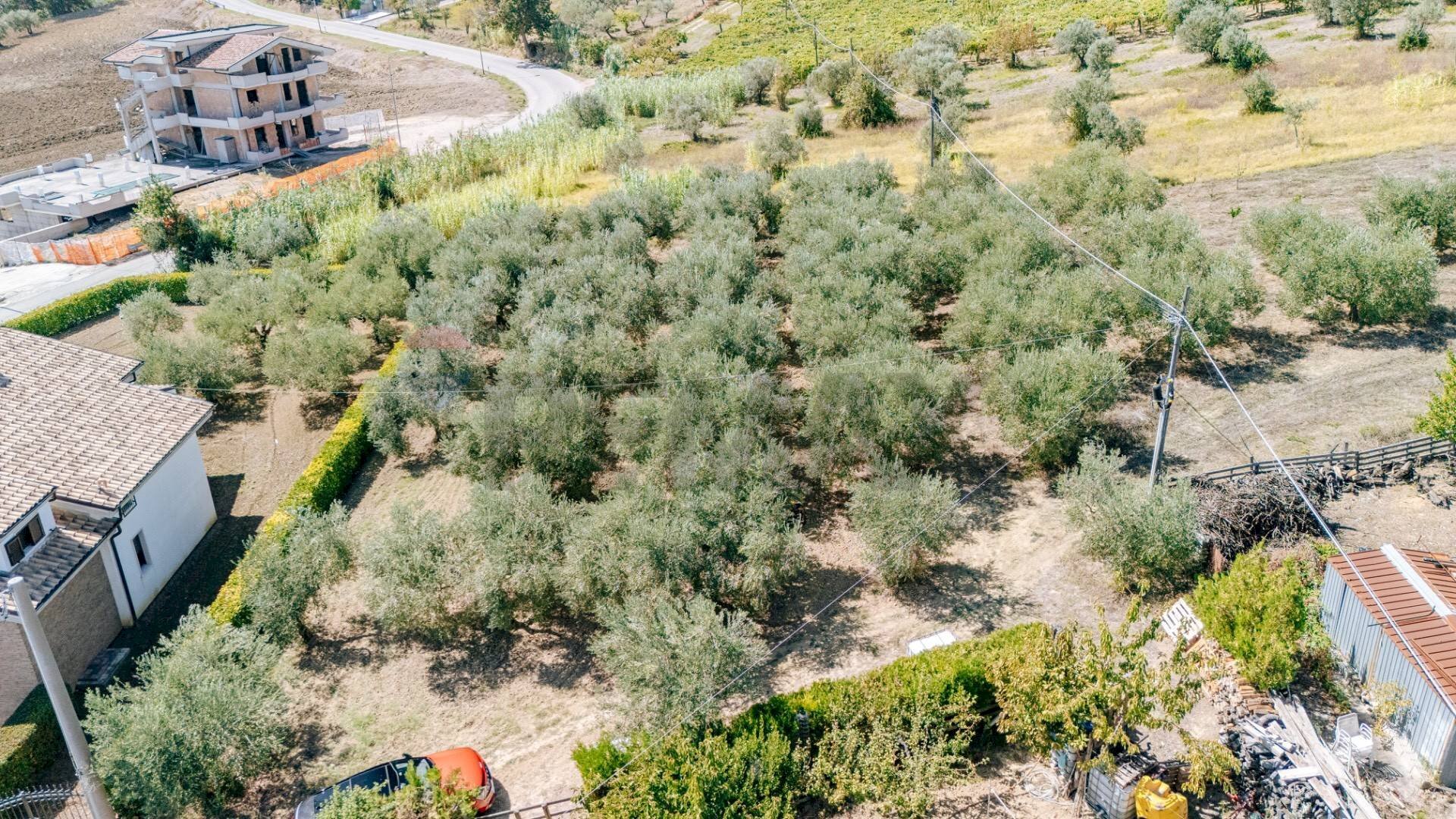 Giardino - Terreno edificabile via Istonia
 
189, Cupello - foto 3