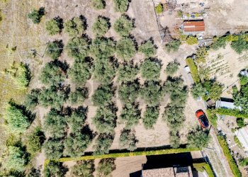 Posizione della mappa - Terreno edificabile via Istonia
189, Cupello - foto 2