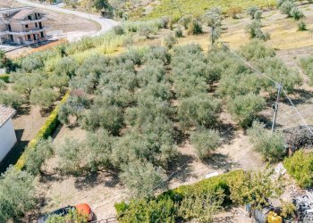 Giardino - Terreno edificabile via Istonia
189, Cupello - foto 3