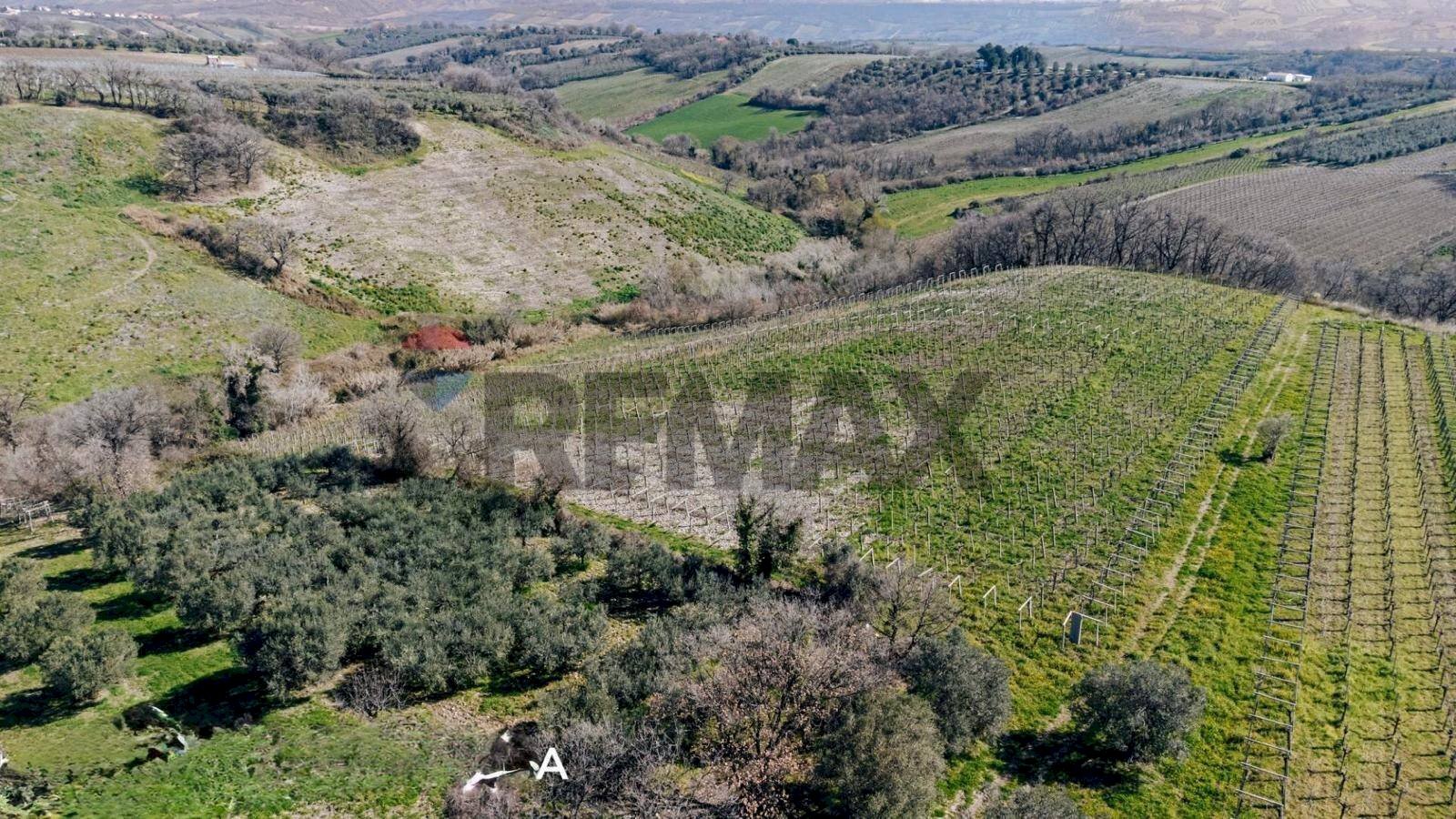 Vista delle montagne - Terreno agricolo Scerni - foto 2