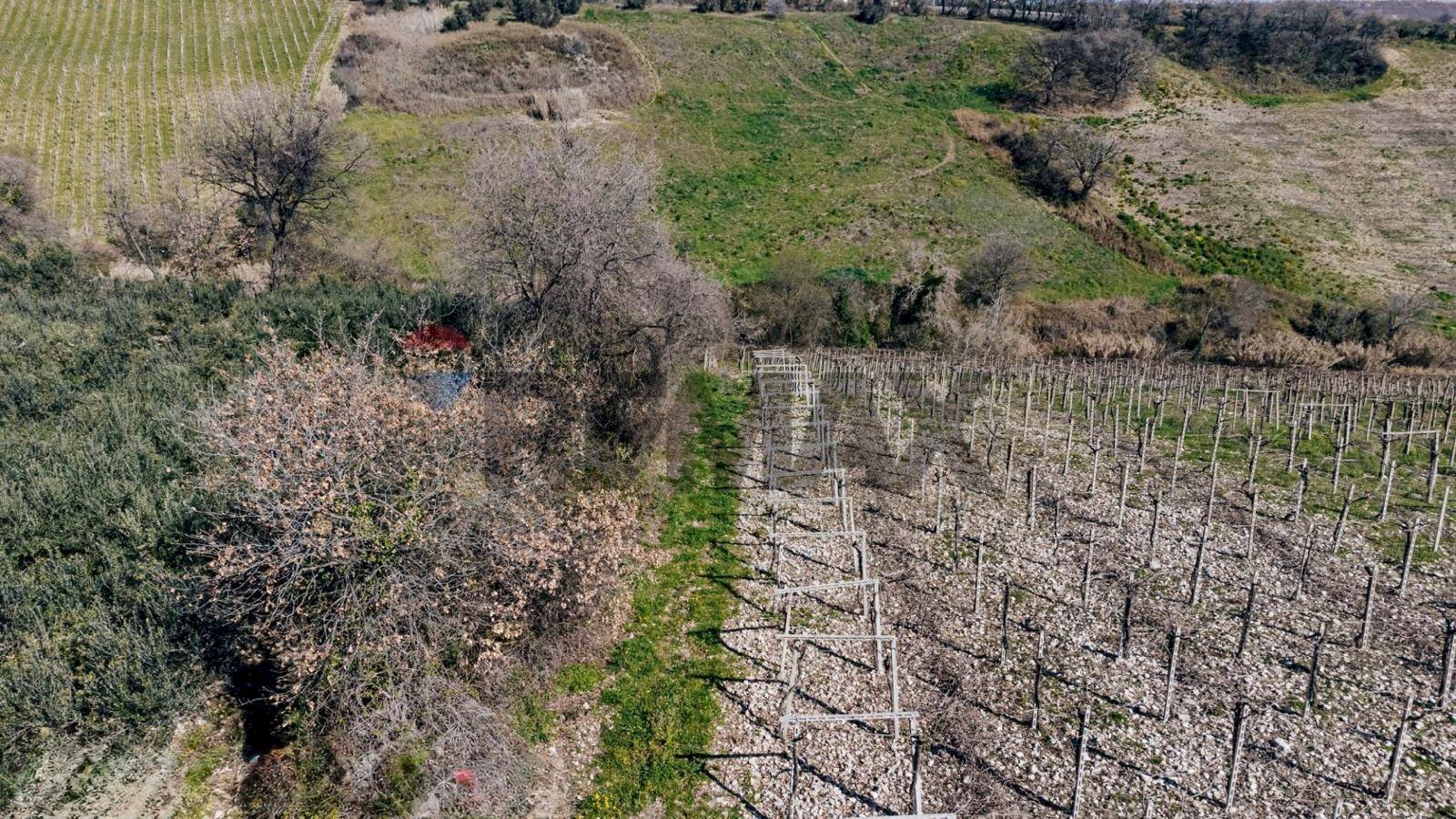 Vista delle montagne - Terreno agricolo Scerni - foto 3