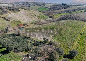Vista delle montagne - Terreno agricolo Scerni - foto 2