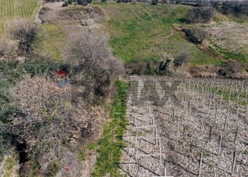 Vista delle montagne - Terreno agricolo Scerni - foto 3