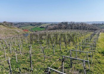 Vista delle montagne - Terreno agricolo Scerni - foto 6