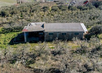 Casa all\'aperto - Terreno agricolo Scerni - foto 13