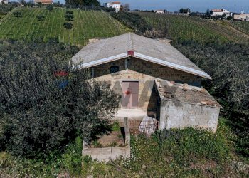 Casa all\'aperto - Terreno agricolo Scerni - foto 16