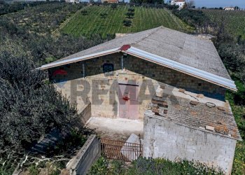 Casa all\'aperto - Terreno agricolo Scerni - foto 17