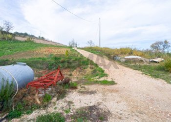 Giardino - Casa indipendente via Luigi Rovelli
 
snc, Montenero di Bisaccia - foto 12