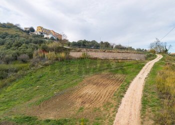 Giardino - Casa indipendente via Luigi Rovelli
 
snc, Montenero di Bisaccia - foto 52