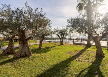 Giardino - Two-room apartment Via Costa Contina, Vasto - photo 21