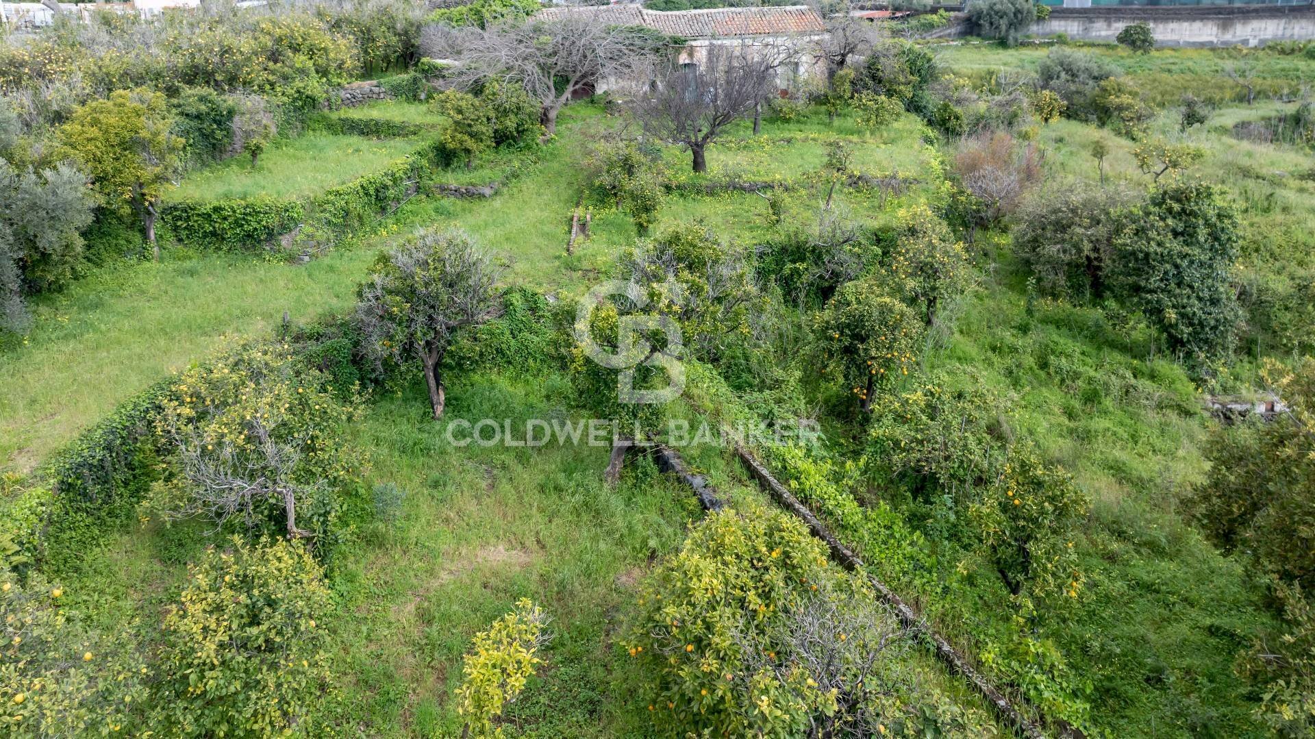 Foto 2 - Agricultural land Via Reina
6, Acireale - photo 2