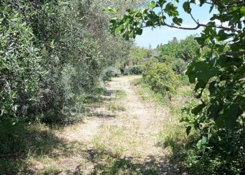 Foto 7 - Agricultural land Via Reina
 
6, Acireale - photo 7