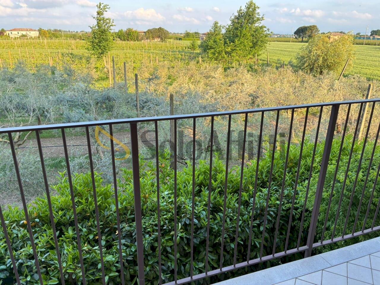 PHOTO-2026-04-29-19-10-55 (2).jpg - Two-room apartment Piazza Don Milani 00, Faenza - photo 3