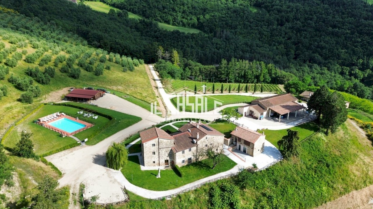 1.jpg - Farm Dicomano - photo 1