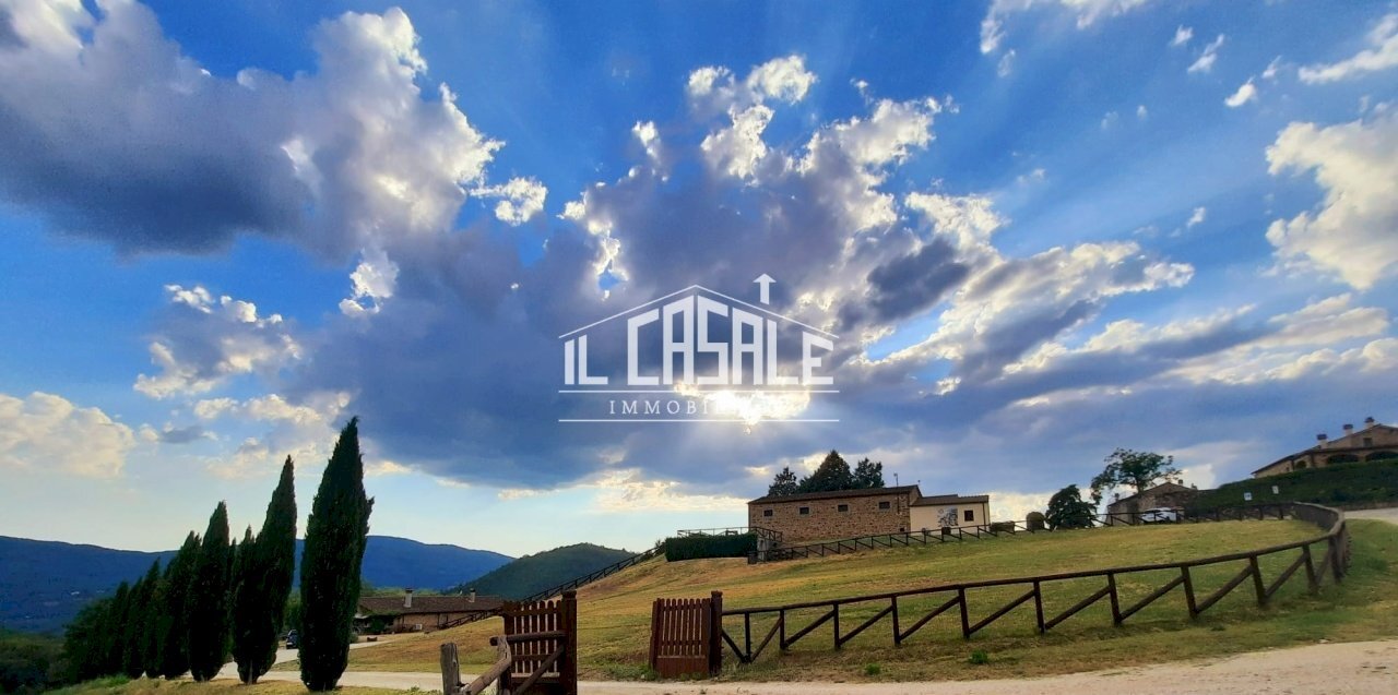 5.jpg - Farm Dicomano - photo 3
