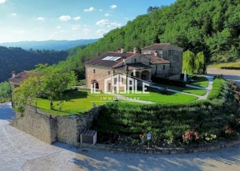 4.jpg - Farm Dicomano - photo 2