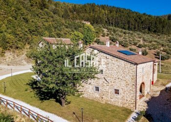 6.jpg - Farm Dicomano - photo 4