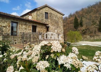 20.jpg - Farm Dicomano - photo 18
