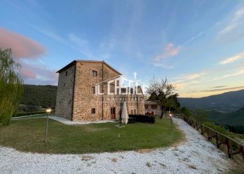 29.jpg - Farm Dicomano - photo 27