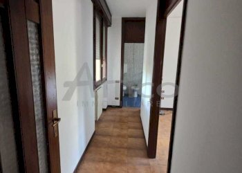 IMG-20260508-WA0014.jpg - Three-room apartment Via Generale Domenico Piva RO, Rovigo - photo 7