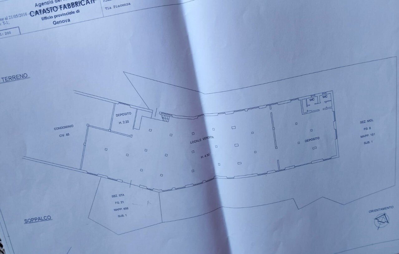 PLN Piacenza.jpg - Commercial Premises Via Piacenza, Genova (neighborhood Molassana) - floor plans 1