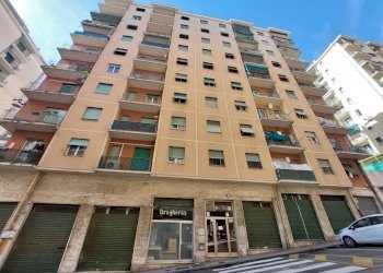 20260327_135432.jpg - Bilocale Via Bartolomeo Carrea, Genova (zona Sampierdarena) - foto 5