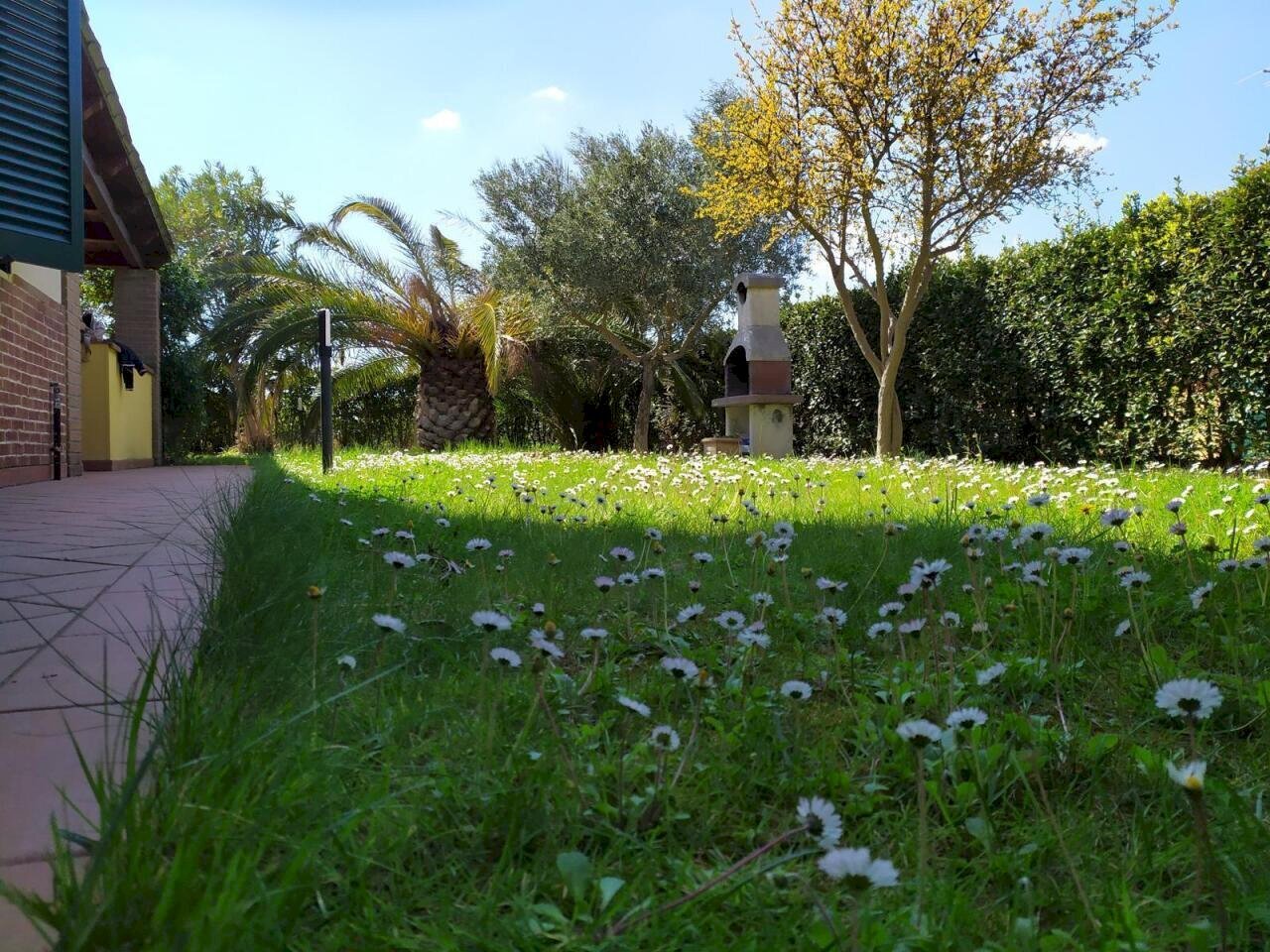PHOTO-2026-04-22-19-23-07.jpg - Independent house Via Aurelia Sud, Cecina - photo 2