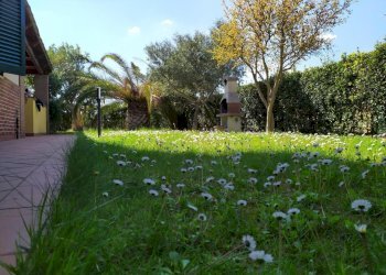 PHOTO-2026-04-22-19-23-07.jpg - Independent house Via Aurelia Sud, Cecina - photo 2