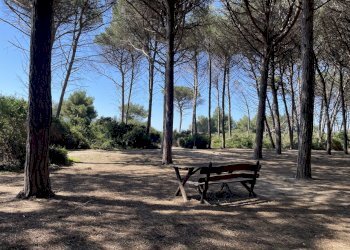 IMG_4071.jpg - Independent house Via Aurelia Sud, Cecina - photo 19