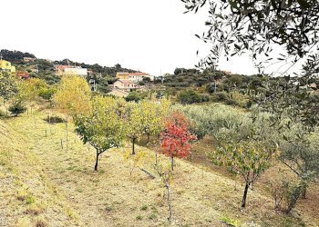 Villa Via Nifossé, Albisola Superiore - foto 47