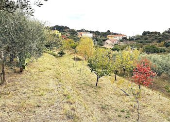 Villa Via Nifossé, Albisola Superiore - foto 49