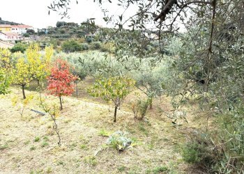 Villa Via Nifossé, Albisola Superiore - foto 51