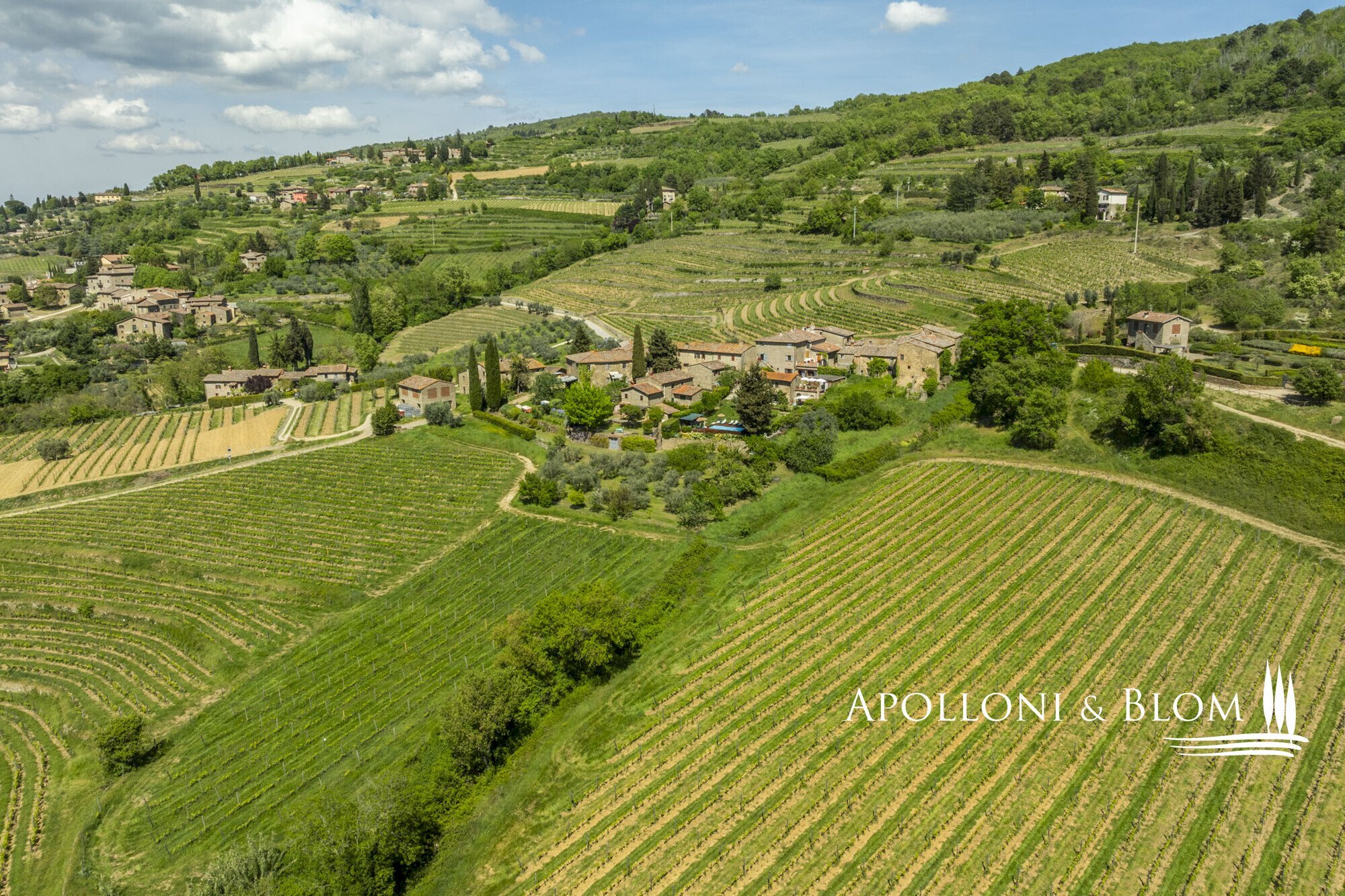 Casale Località Salcetino, 30, Greve in Chianti - foto 2