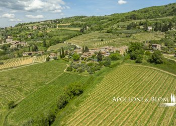 Casale Località Salcetino, 30, Greve in Chianti - foto 2