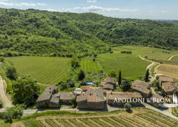 Casale Località Salcetino, 30, Greve in Chianti - foto 14