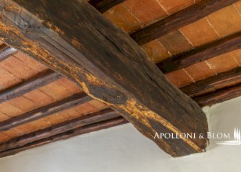 Casale Località Salcetino, 30, Greve in Chianti - foto 32