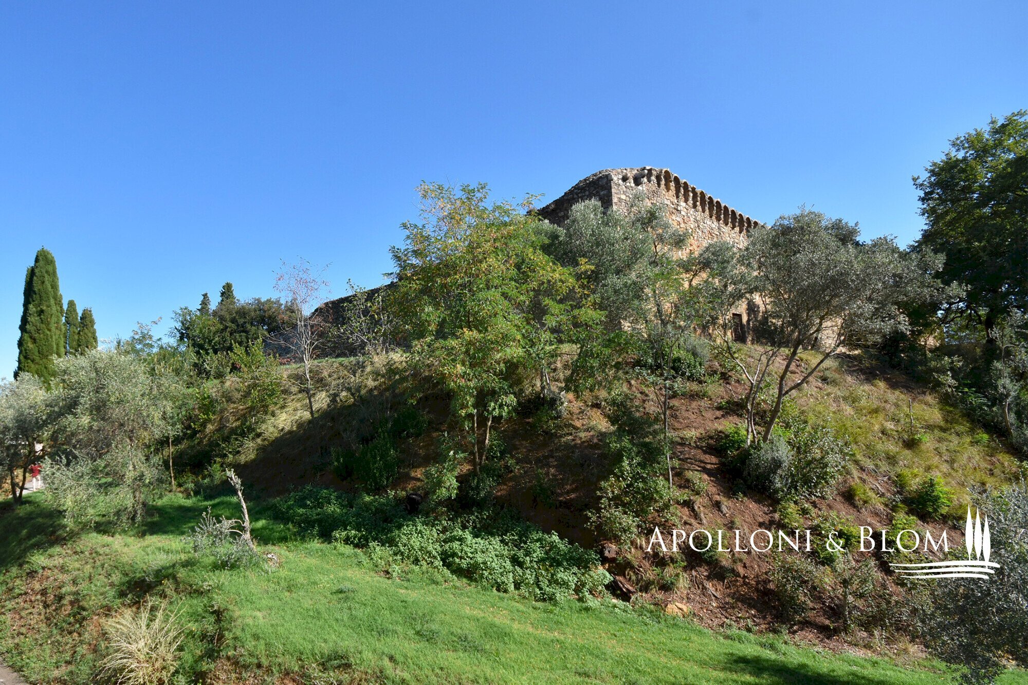 Ufficio Jacopo della Quercia, 19, San Quirico d'Orcia - foto 3