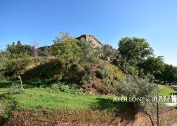 Ufficio Jacopo della Quercia, 19, San Quirico d'Orcia - foto 17