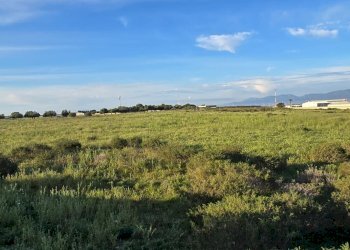 Terreno edificabile Via dei Trasvolatori, Cagliari - foto 11