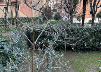 Appartamento via Ernesto Masi, Bologna (zona Murri) - foto 3