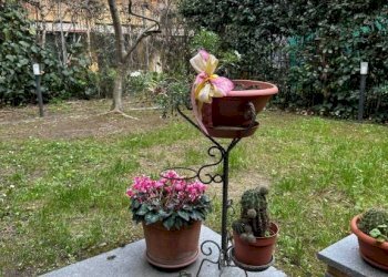 Appartamento via Ernesto Masi, Bologna (zona Murri) - foto 6