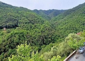 Trilocale Apricale - foto 4