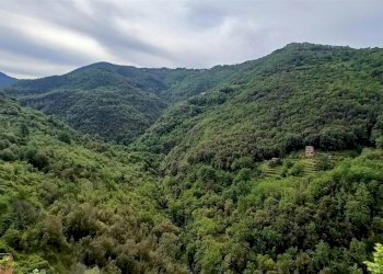 Trilocale Apricale - foto 5
