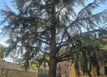Appartamento Fiumalbo - foto 30