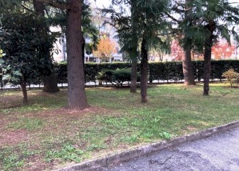 Appartamento Vignola - foto 4