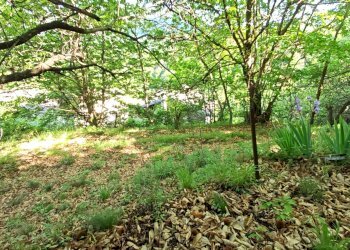 Independent house Via Vottero, Barge - photo 73