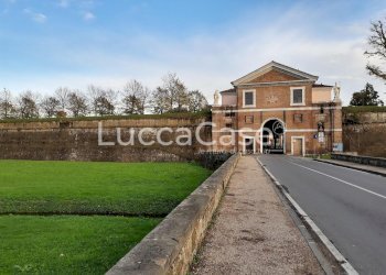Office Lucca (neighborhood Sant'Anna) - photo 1