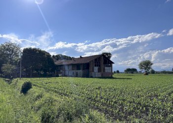 Rustico Osasio - foto 8