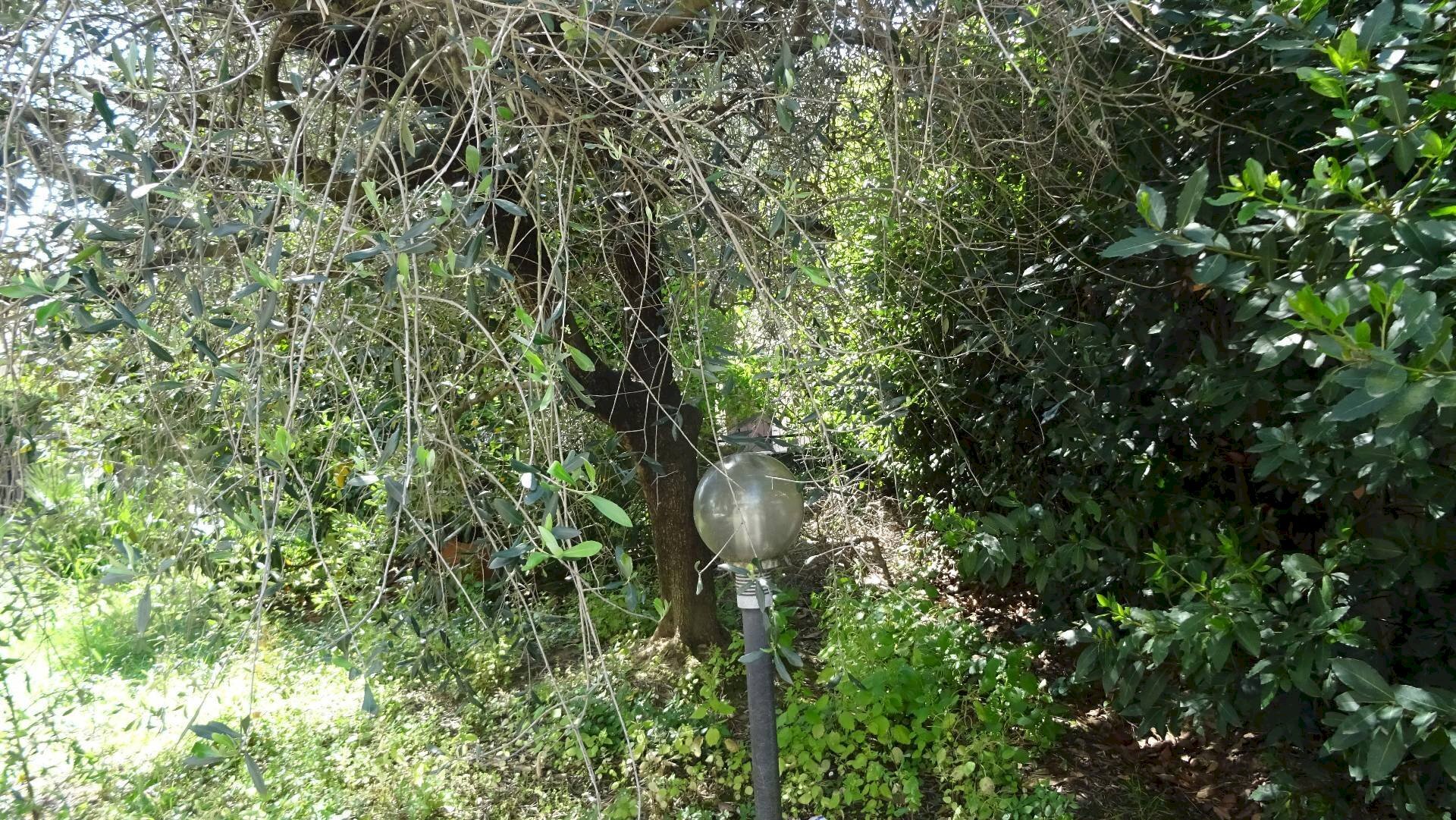 Foto 2 - Appartamento Montelupo Fiorentino - foto 2